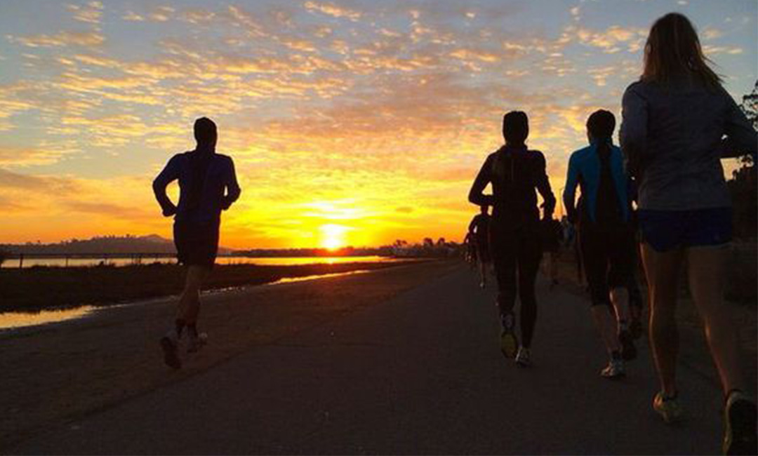 珠海计步器问答案例